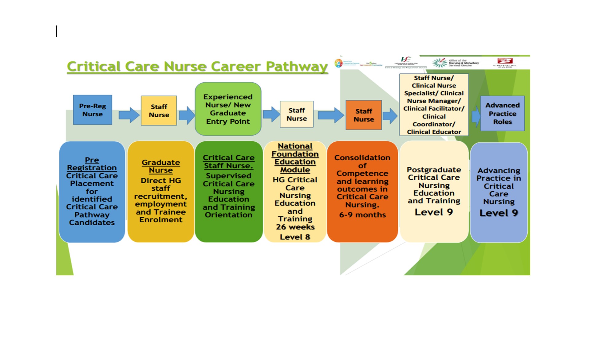 critical care nursing education standards